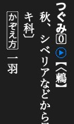 Font-specific boxed zero accent mark