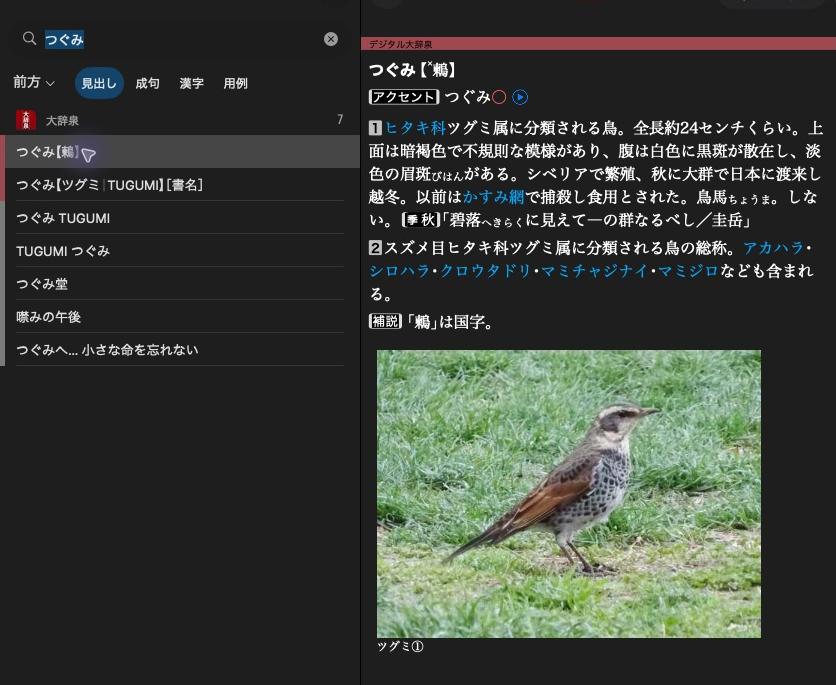The Dictionaries app showing the つぐみ search results and the selected 大辞泉 article.