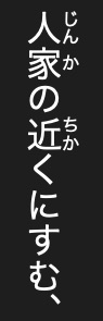 例解学習国語 places readings beside kanji throughout its 雀 article.